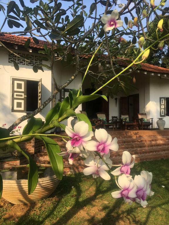 Templeberg Bed & Breakfast Walahanduwa Exterior photo